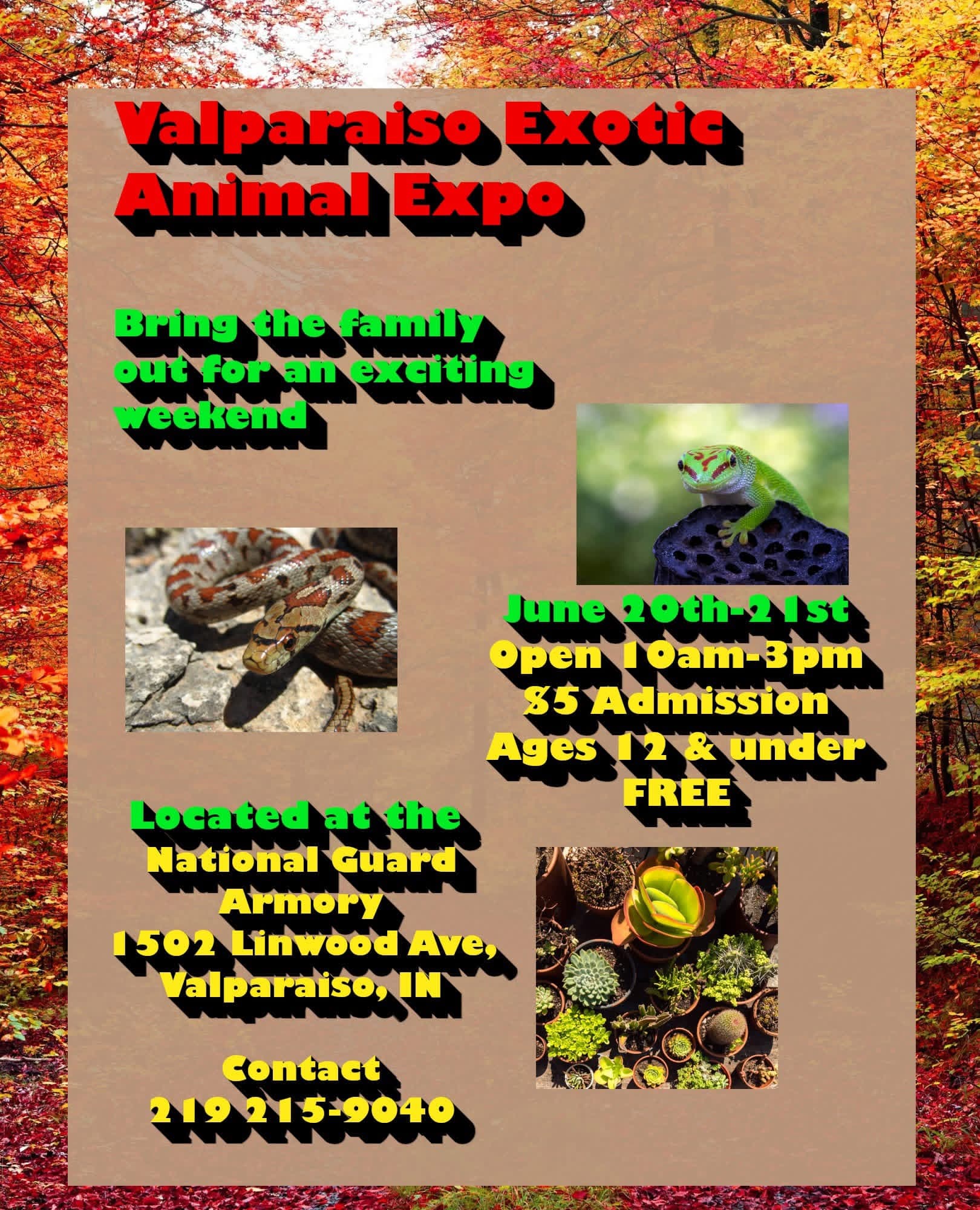 Animals by Nature flyer